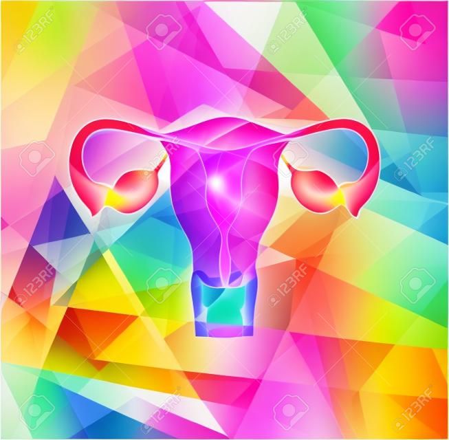 Utérus de la femme et des ovaires sur un fond géométrique coloré, résumé illustration médicale.