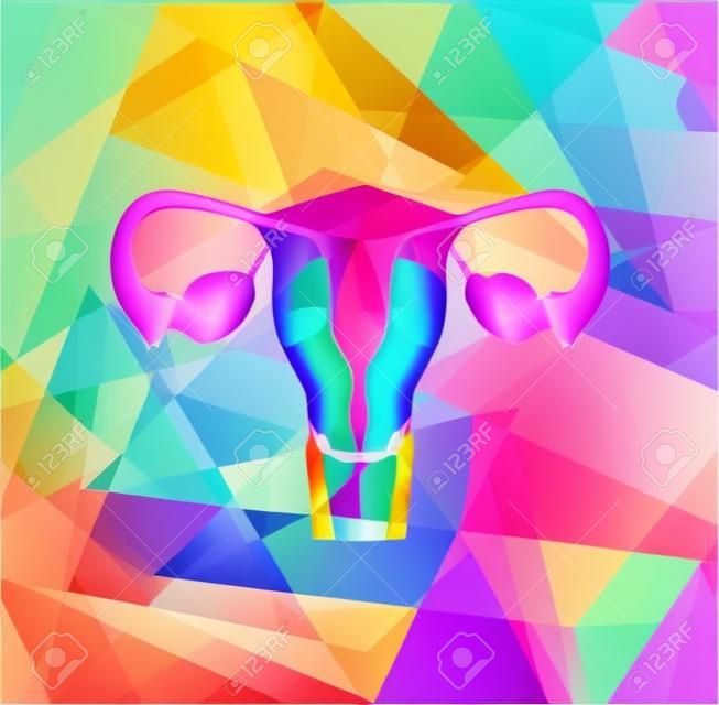 Utero e le ovaie femminile su uno sfondo geometrico colorato, astratto illustrazione medica.