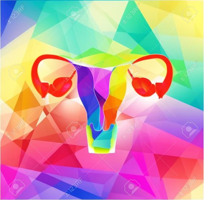 Mujer útero y los ovarios en un fondo geométrico colorido, ejemplo médico abstracto.