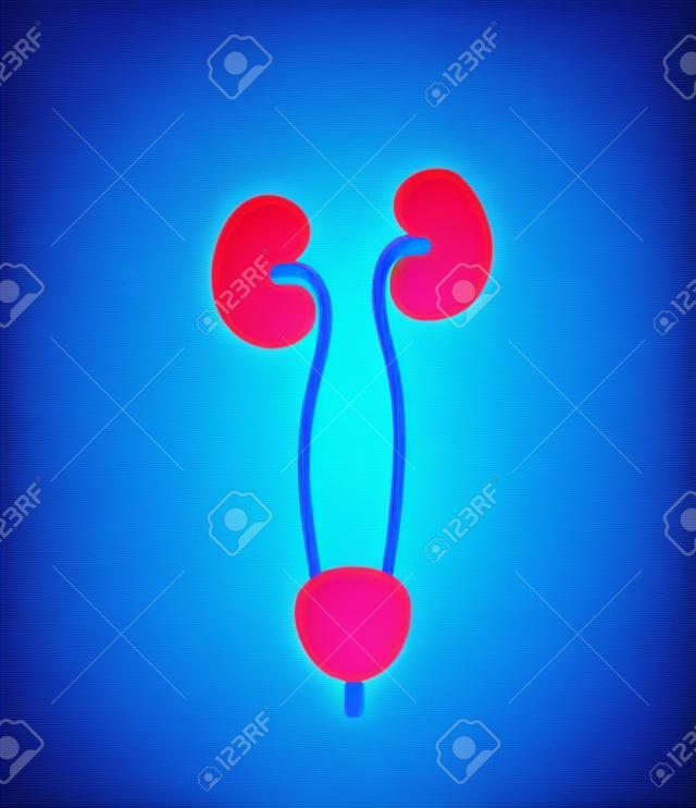 Kidneys abstract design. Bright blue background and red lights.