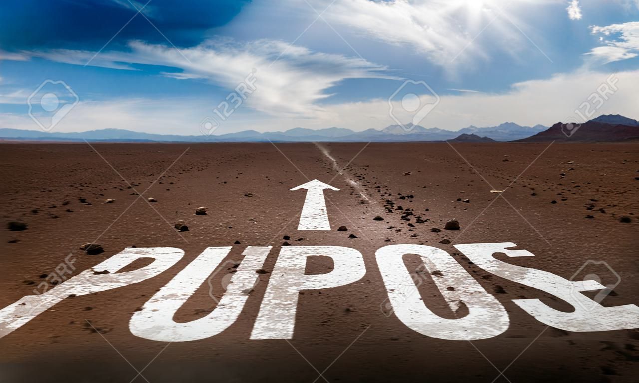 Purpose written on desert background