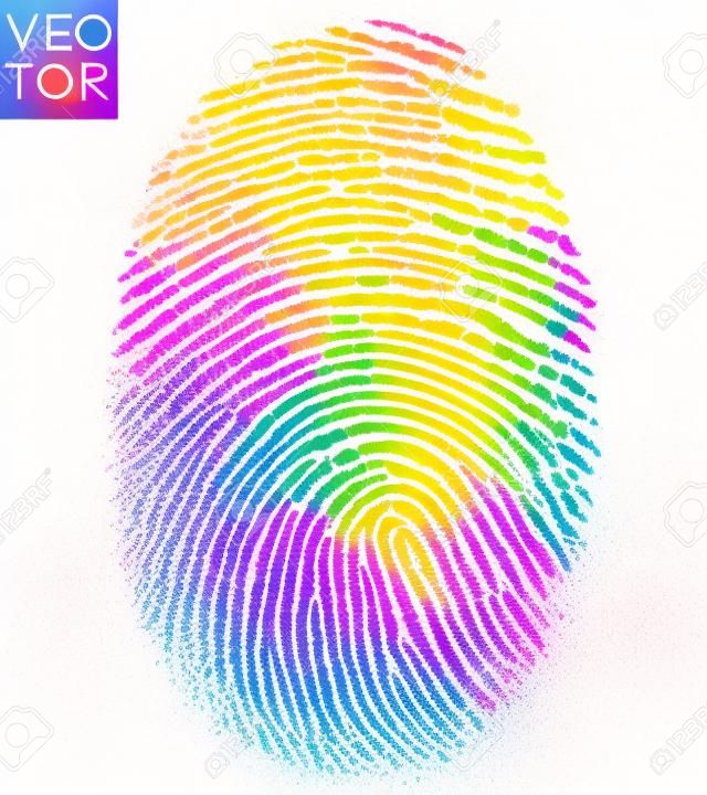 彩色指紋，指紋圖示。