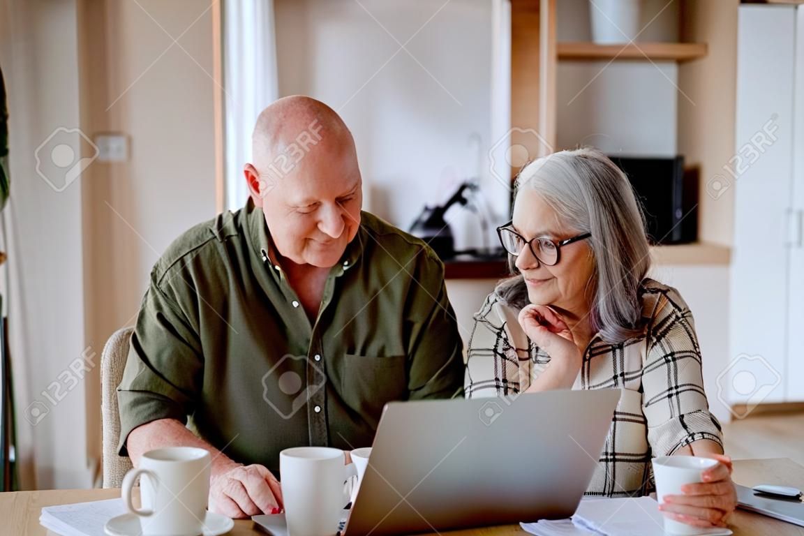Happy senior couple calculate expenses or planning budget together at home.