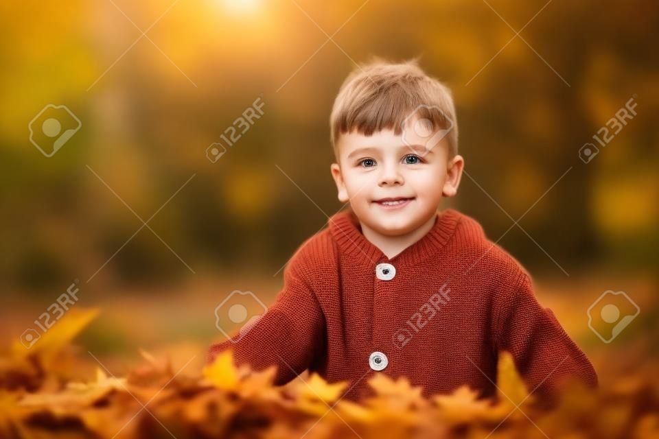 Kleine nieuwsgierige jongen in gebreide trui op wandeling in de herfst natuur, kijkend naar camera.