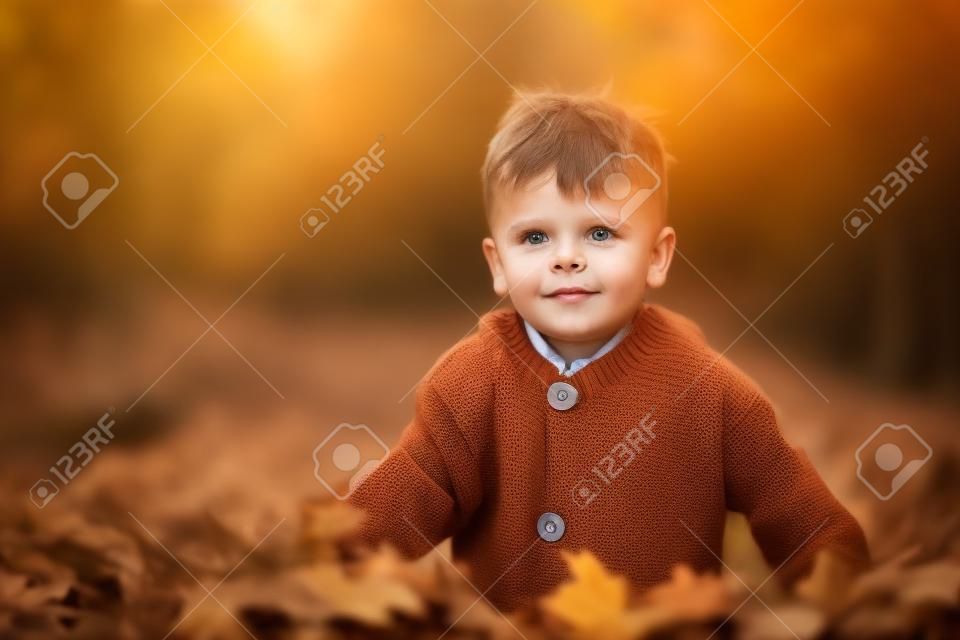 니트 스웨터를 입은 작은 호기심 많은 소년이 카메라를 보며 가을의 자연을 걷고 있습니다.