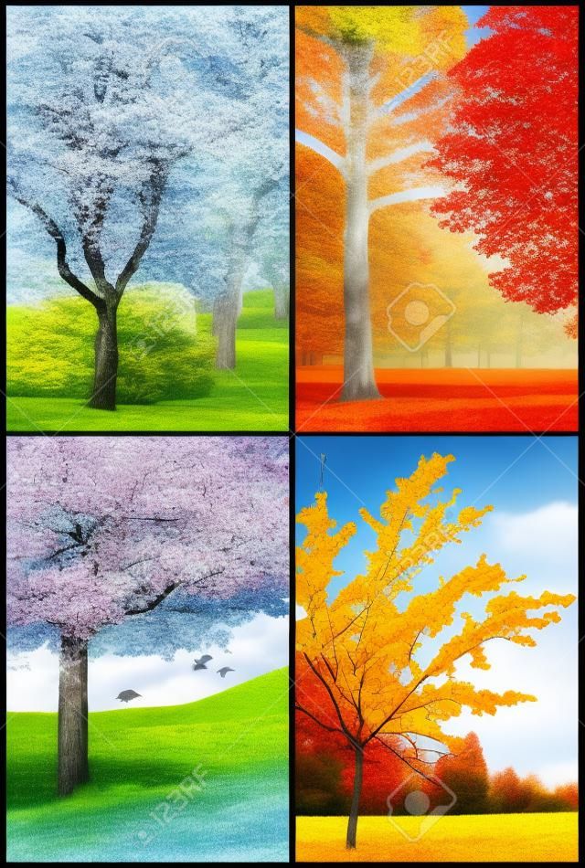 Vier seizoenen collage lente, zomer, herfst, winter