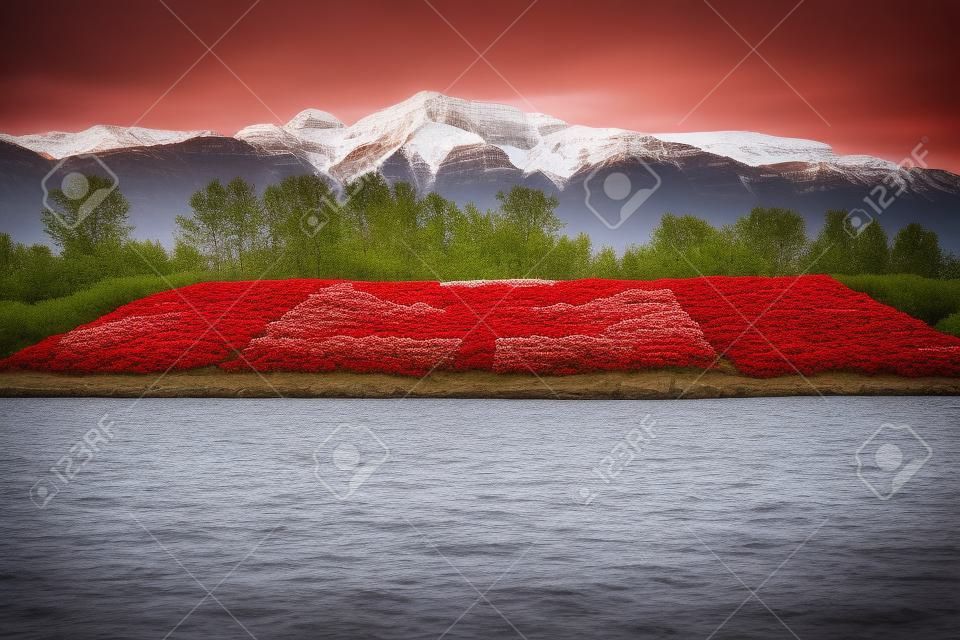 Kanada-Flagge im roten und weißen Begonie Blume vor dem Hintergrund der Rocky Mountains gemacht.