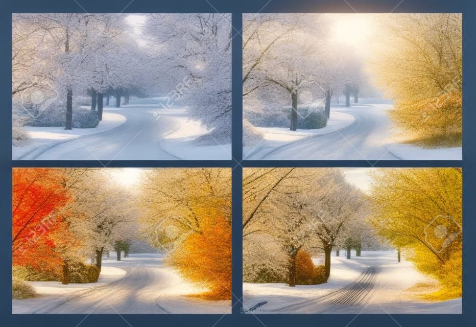 Frühling, Sommer, Herbst und Winter. Vier Jahreszeiten auf der gleichen Straße von genau der gleichen Stelle fotografiert.