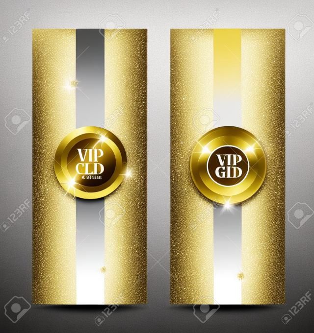 Gold and silver VIP cards with sparkling background. Vector illustration