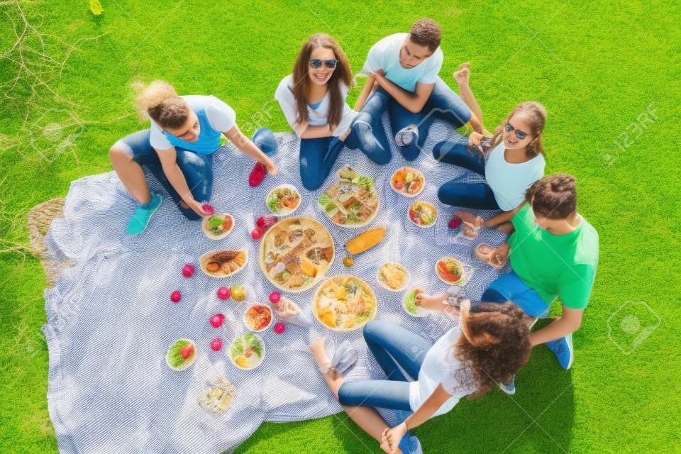 Young people enjoying picnic in park on summer day, top view