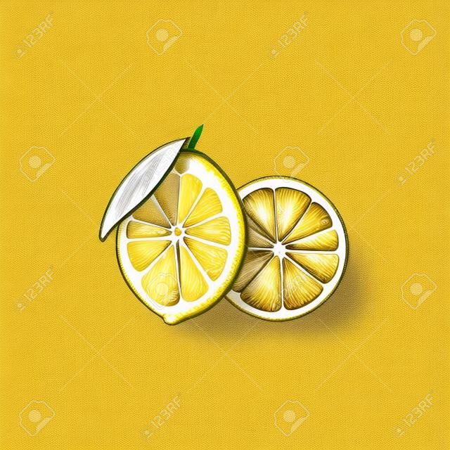 Lemon fruit hand drawn illustration clipart  icon