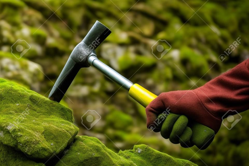 la mano del geologo colpisce una roccia calcarea muschiosa con un martello geologico per prelevare un campione