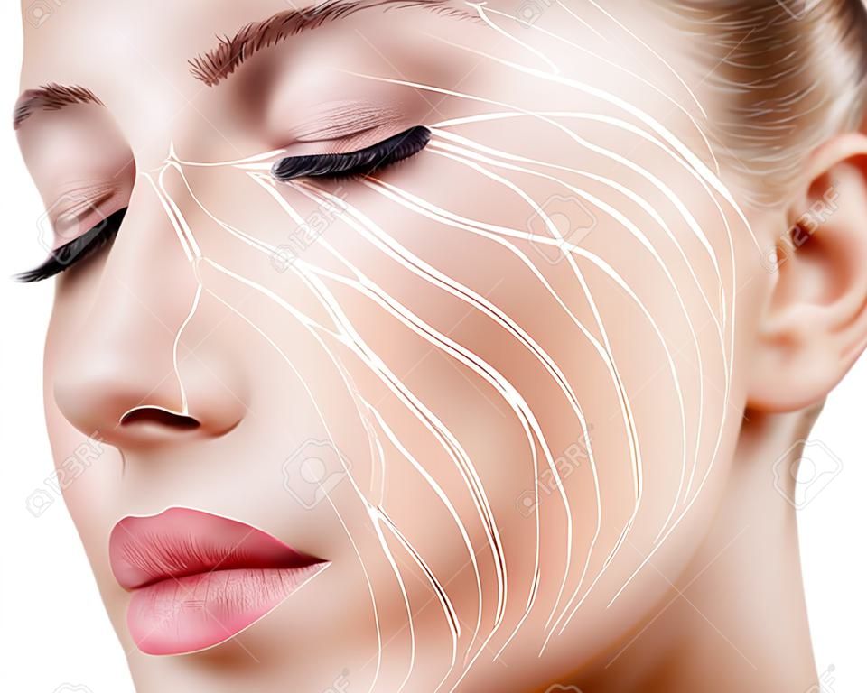 圖形線條顯示對皮膚的面部提升效果。