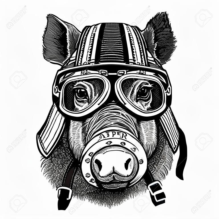 Aper, sanglier, porc, sanglier, sanglier, sanglier, sanglier Image dessiné à la main d'animal portant le casque de moto pour t-shirt, tatouage, emblème, insigne, logo, patch