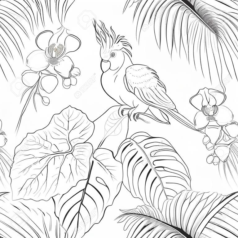 Wzór, tło. z tropikalnymi roślinami i kwiatami z białą orchideą i tropikalnymi ptakami. Zarys rysunek wektor ilustracja.