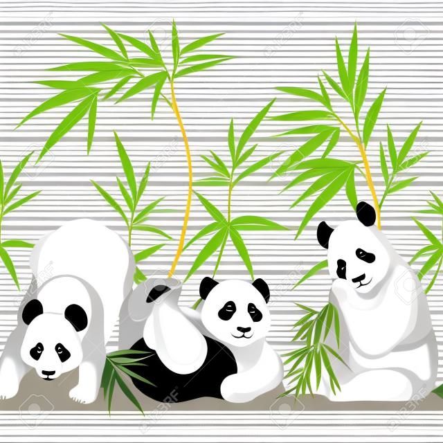 Patrón sin costuras, fondo. con pandas y bambú. Ilustración de vector sin degradados y transparencia. Sobre fondo de rayas en blanco y negro
