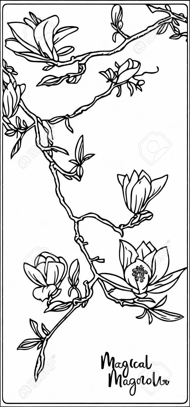 Magnolia tree branch with flowers. Coloring page for the adult coloring book. Outline hand drawing vector illustration..