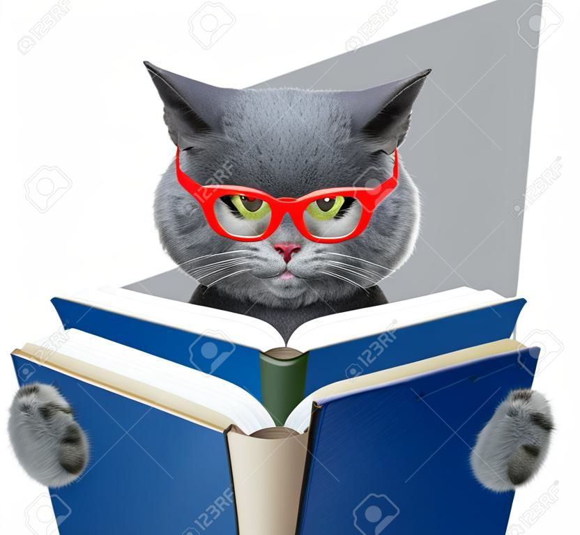 안경에 사악한 고양이 책을 읽고있다.