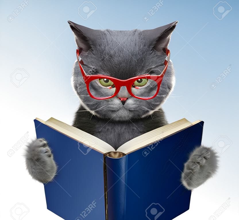안경에 사악한 고양이 책을 읽고있다.