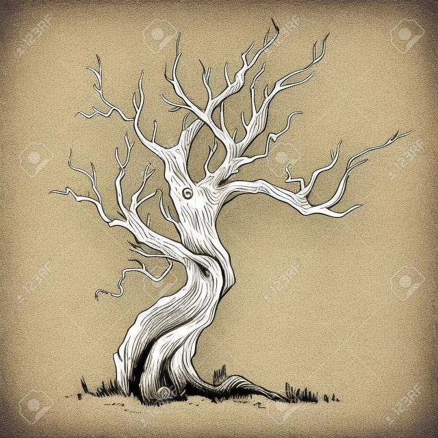 古い曲がった木の手描きのイラスト。乾いた木、ティンダー。インクスケッチ落葉オークツリーは、白い背景に分離しました。フリーハンドリニア手描き絵レトロ落書きグラフィックスタイル。ヴィンテージベクトルツリー。