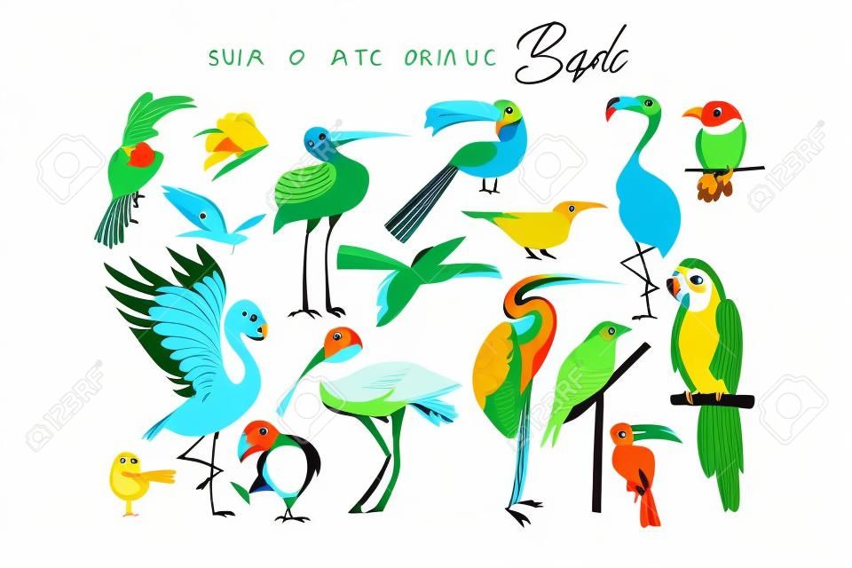Hand drawn vector abstract cartoon summer time fun big bundle group collection illustrations set with tropical exotic zoo or wildlife birds isolated on white background.