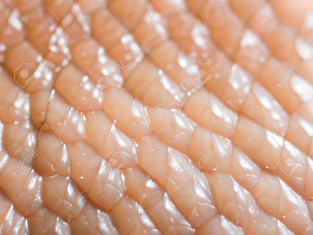 Closeup de pele humana oleosa porosa. Grandes poros na pele, fundo, macro, couro de pele de combinação