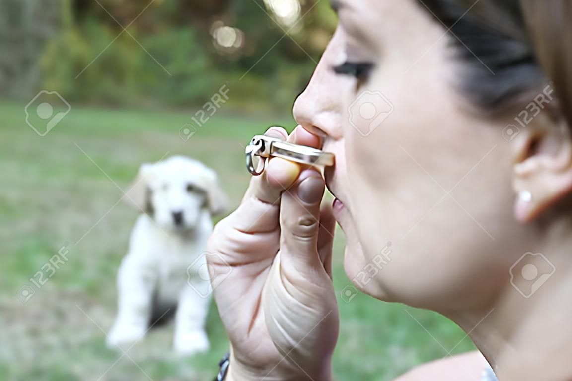 Huisdier eigenaar training hond met behulp van fluit