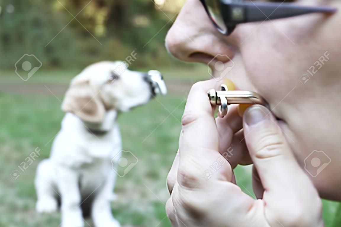 Huisdier eigenaar training hond met behulp van fluit