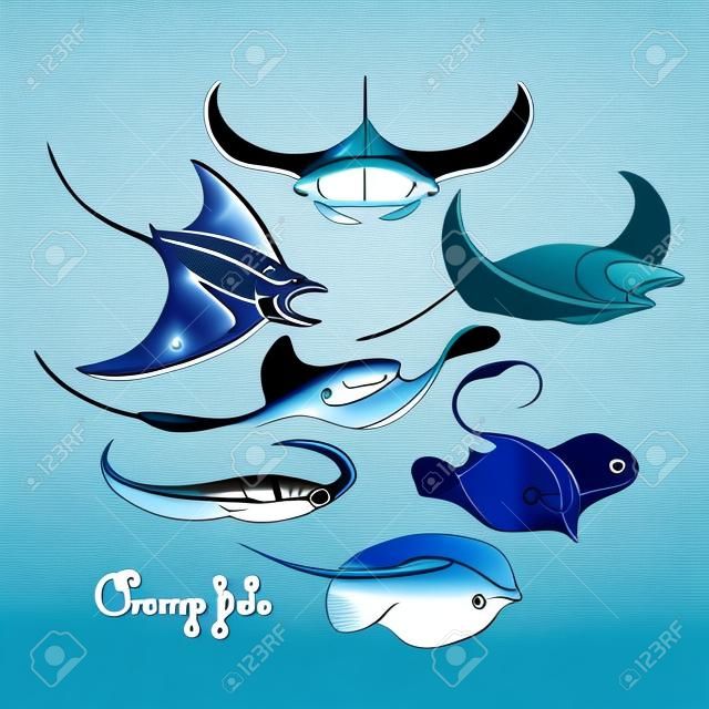 라인 아트 스타일로 그려진 그래픽 비좁은 물고기 컬렉션. 흰색 배경에 고립 된 벡터 전기 만 타 레이입니다. 푸른 색 바다와 바다 생물입니다. 색칠하기 책 페이지 디자인