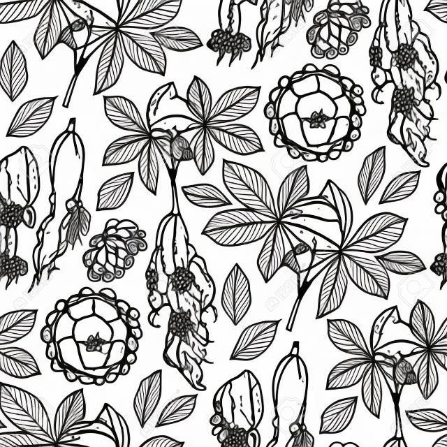 Graphic ginseng seamless pattern with roots and berries drawn in line art style. Herbal medicine. Coloring book page design for adults and kids.