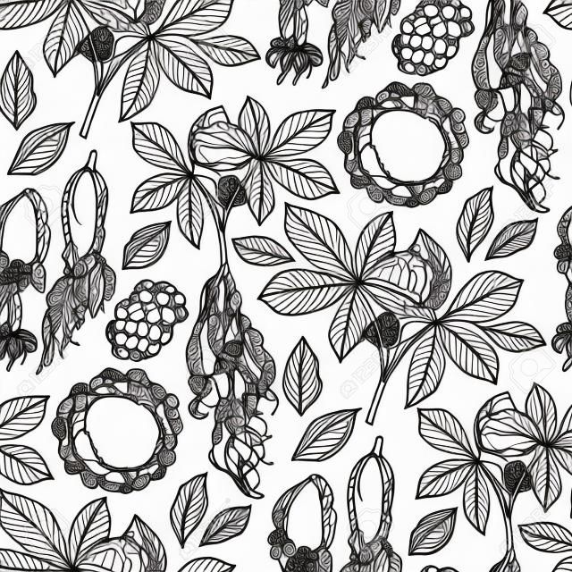 Graphic ginseng seamless pattern with roots and berries drawn in line art style. Herbal medicine. Coloring book page design for adults and kids.
