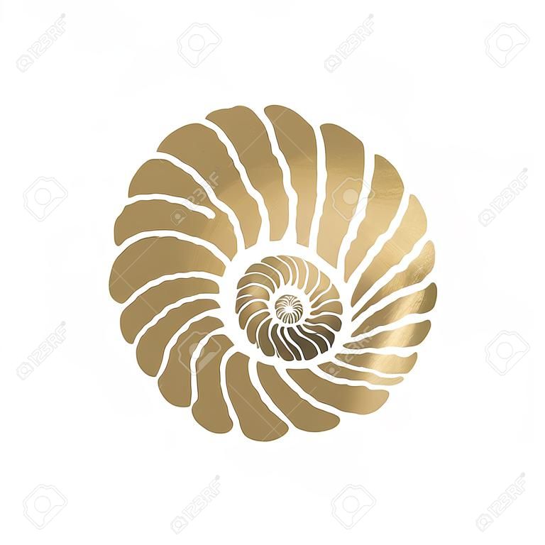 Seashell do círculo gráfico isolado no fundo branco. Arte da tatuagem ou projeto da t-shirt na cor dourada