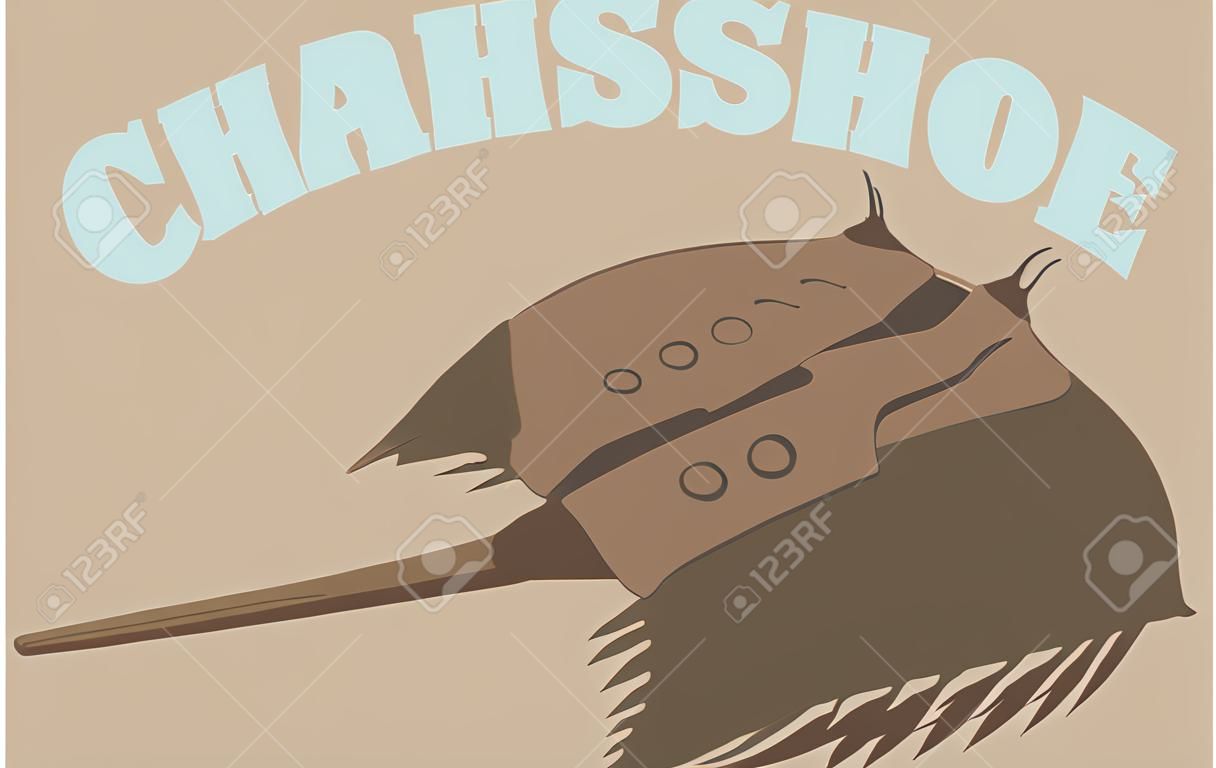 Use this horseshoe crab for a shirt.