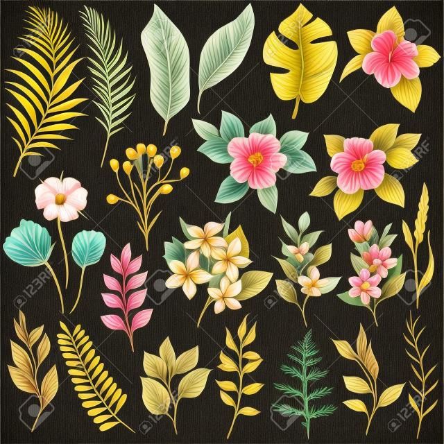 Set of traditional and tropical flowers and leaves