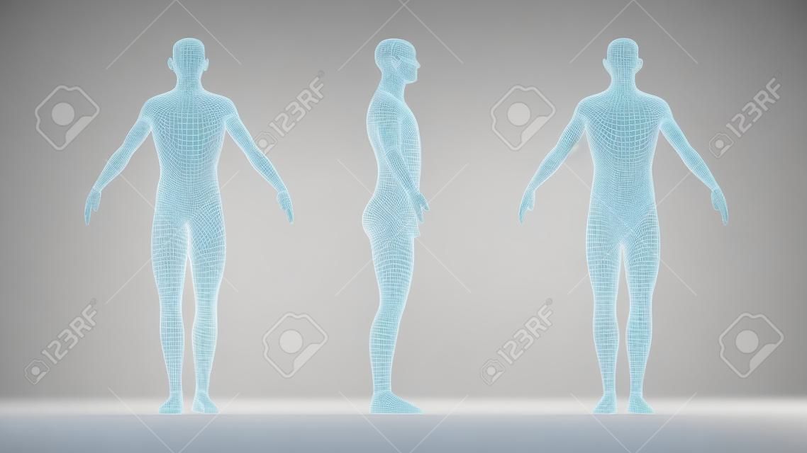 3D rendering of a human being anatomy full standing male man isolated on white background