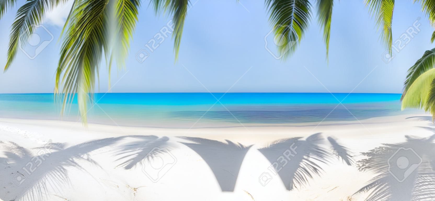Praia tropical panorâmica com coqueiro
