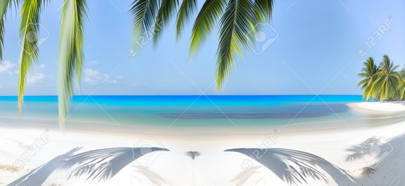 Praia tropical panorâmica com coqueiro