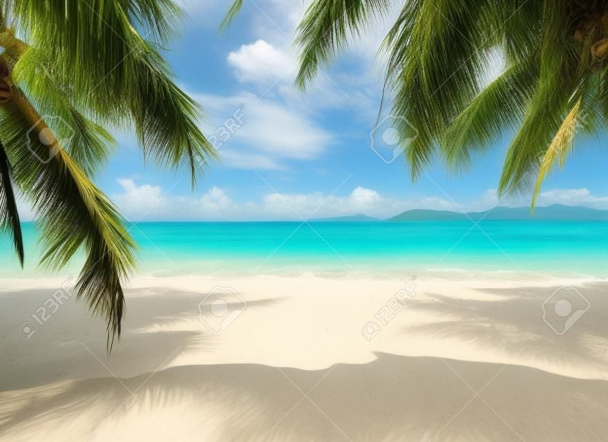 praia tropical com coqueiro