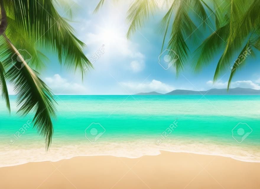 코코넛 야자수와 열 대 해변