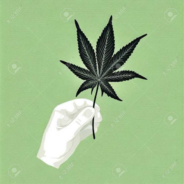 Male hand holding marijuana leaf. Vector color vintage hatching illustration