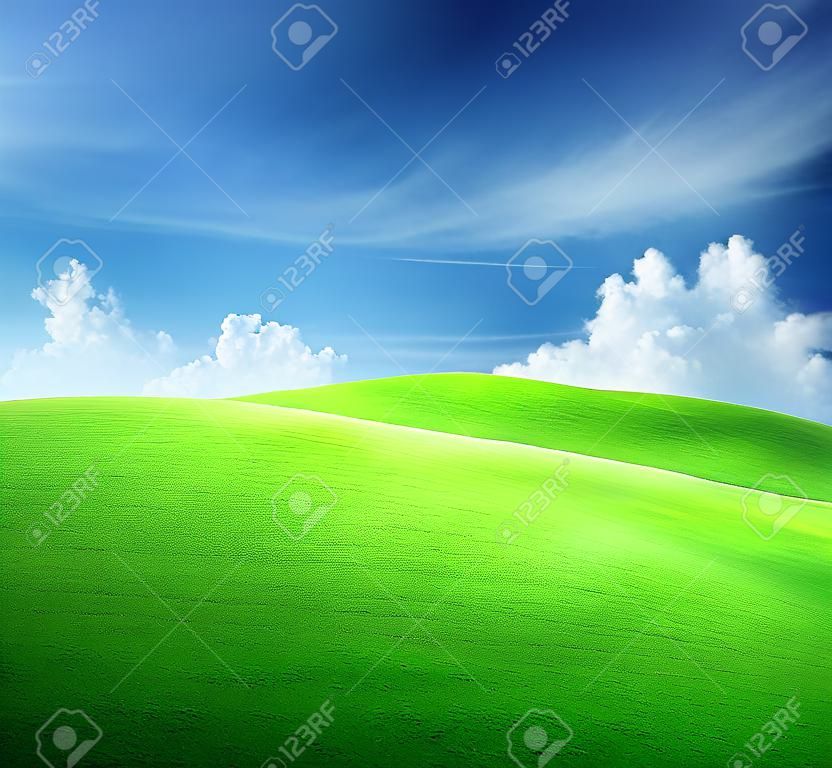잔디와 완벽 한 하늘의 필드