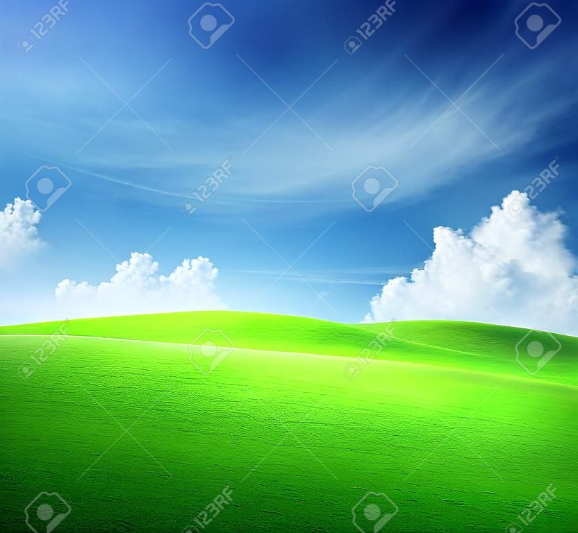 잔디와 완벽 한 하늘의 필드