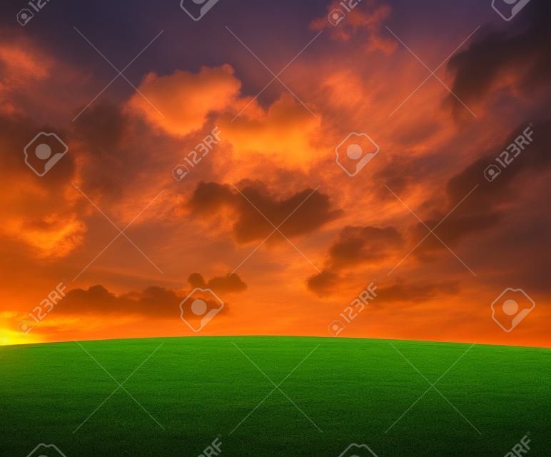 grass and sunset