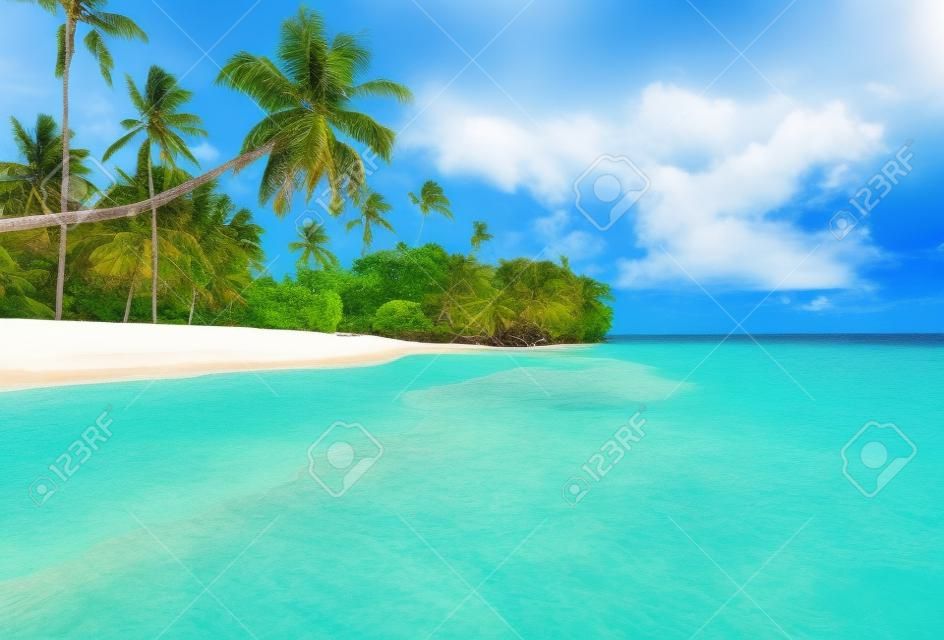 Morze Karaibskie i palmy