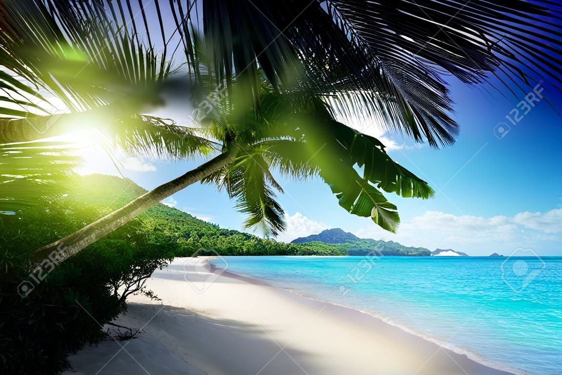strand napnyugta ideje a Mahé-sziget a Seychelle-szigetek