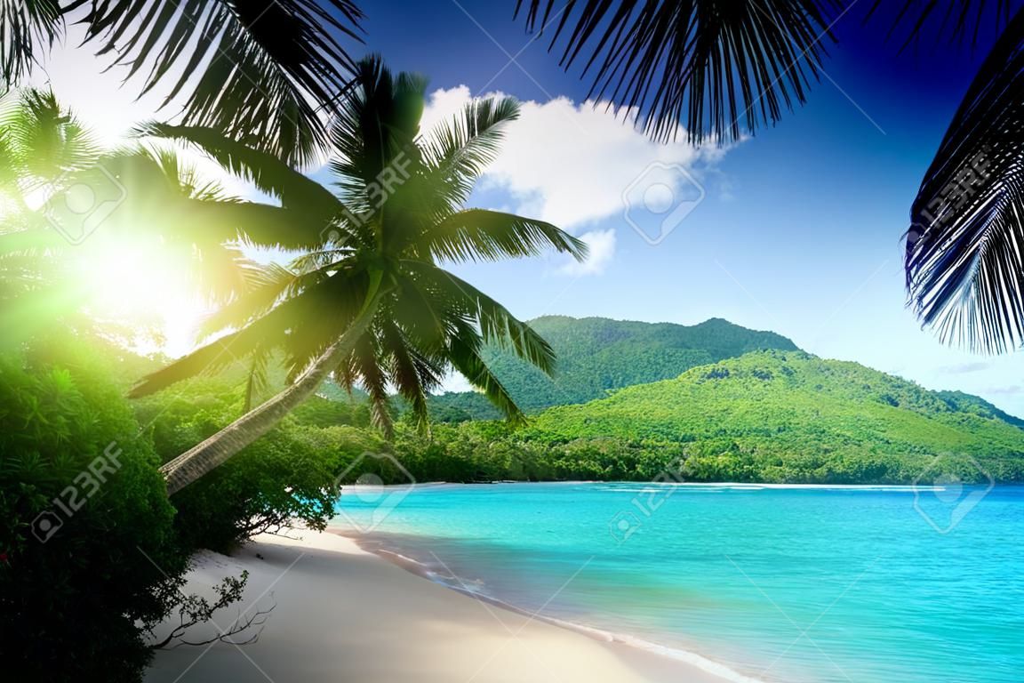 praia, em, pôr do sol, tempo, em, ilha Mahe, em, Seychelles