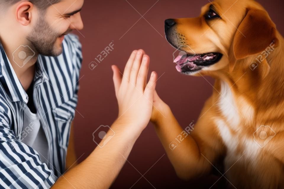 man holding dog's paw on a sofa, close up