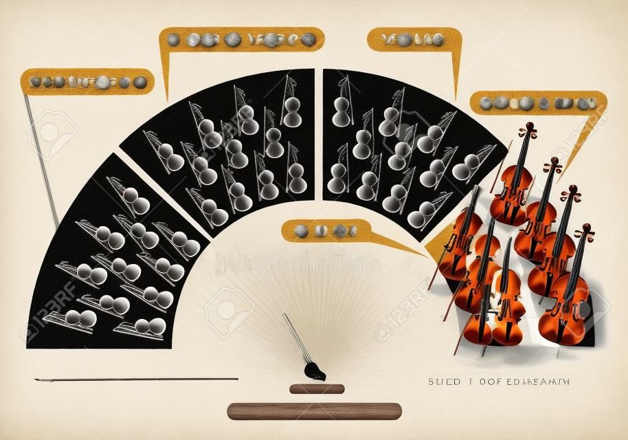 Иллюстрация Коллекция различных участков струнный инструмент для симфонического оркестра схема расположения, скрипки, альта, виолончели и контрабаса