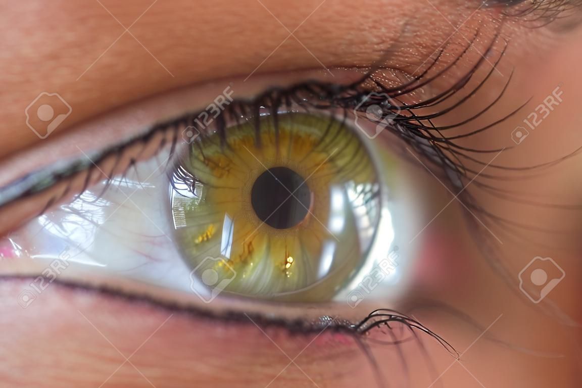 green and yellow iris human eye closeup iris only in focus