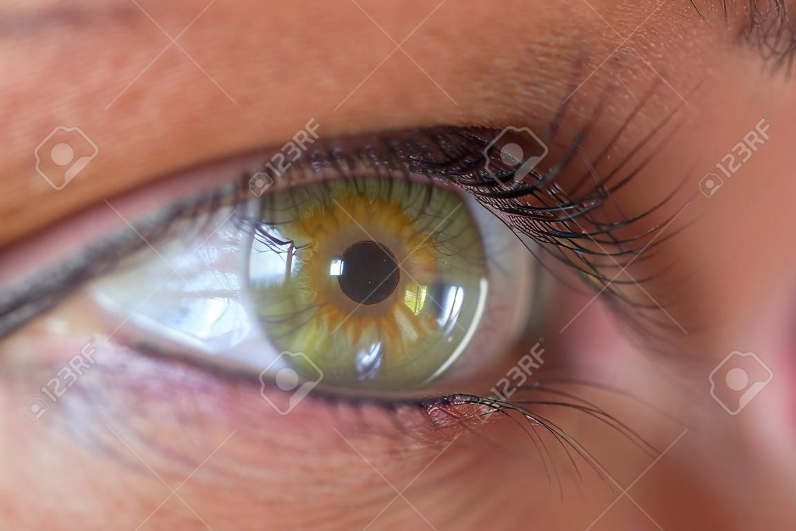 green and yellow iris human eye closeup iris only in focus